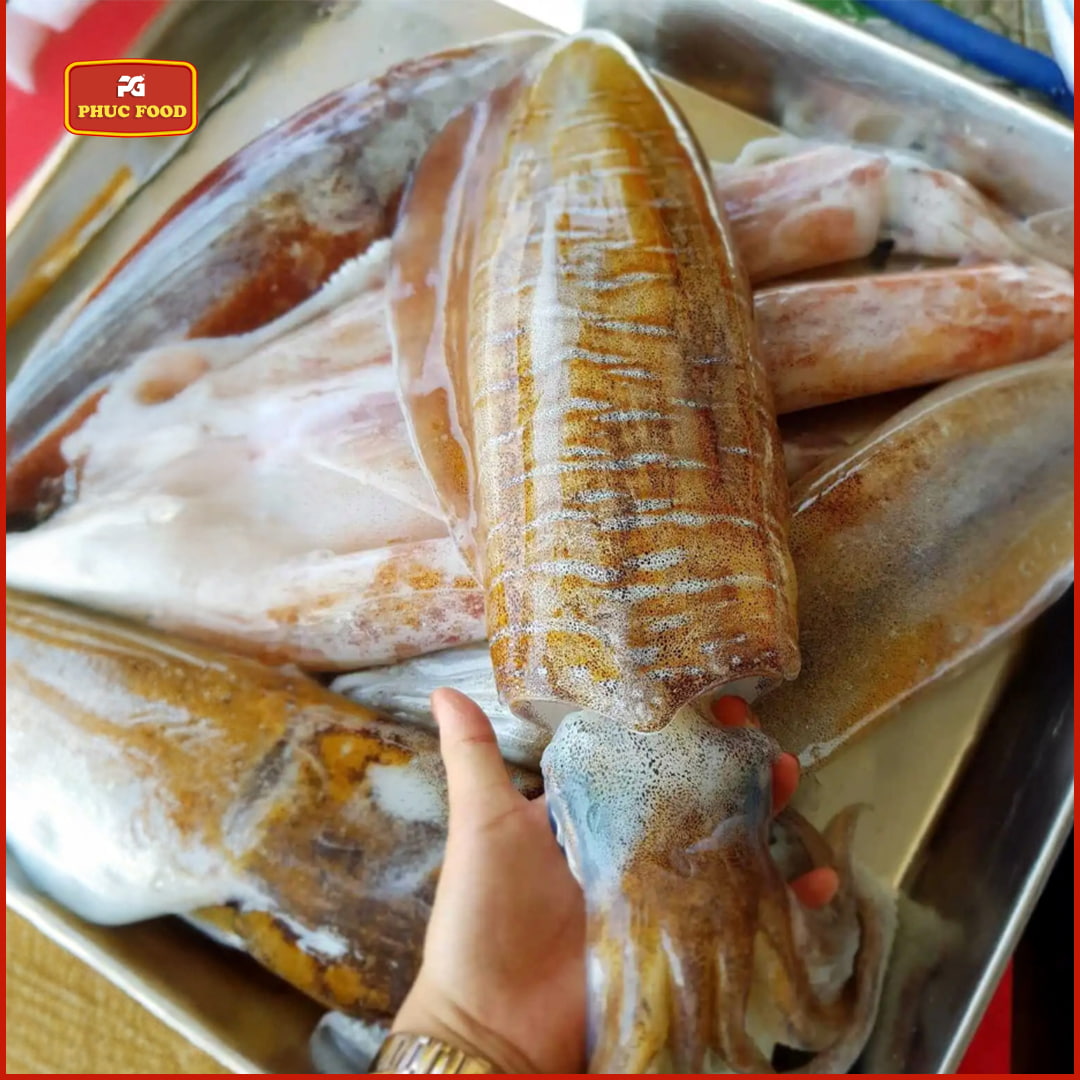 Mực Lá