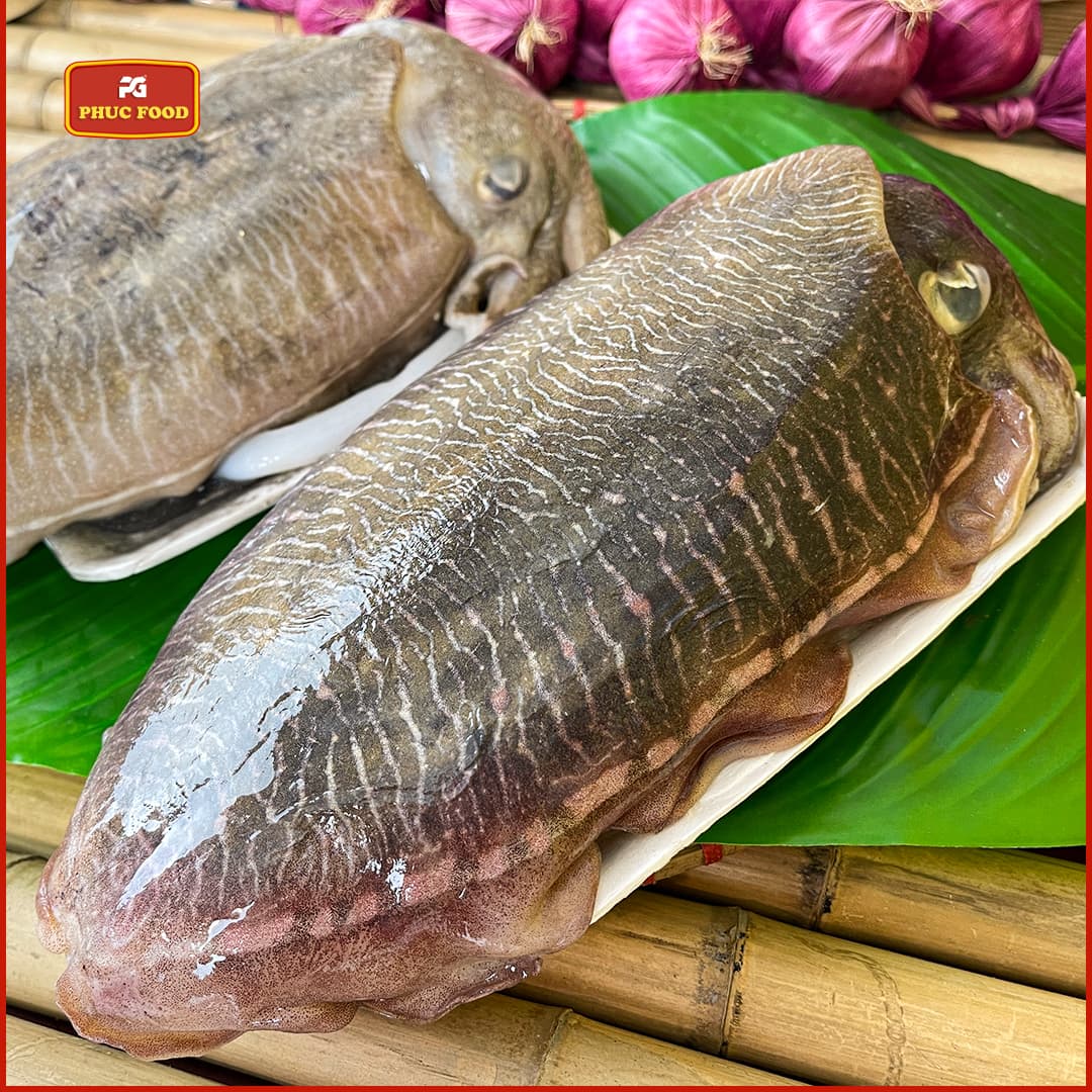 Mực Nang Mực Mai