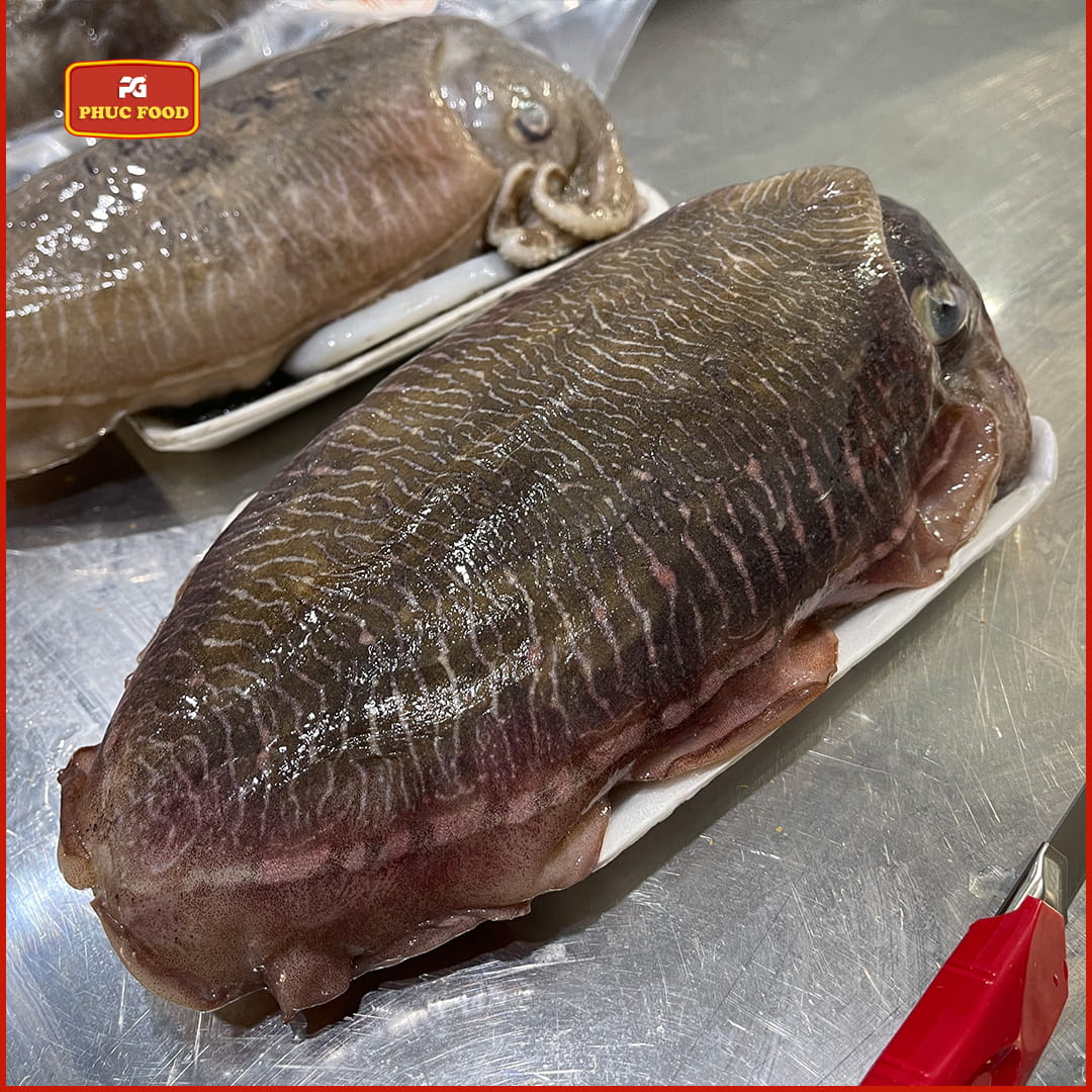 Mực Nang Mực Mai