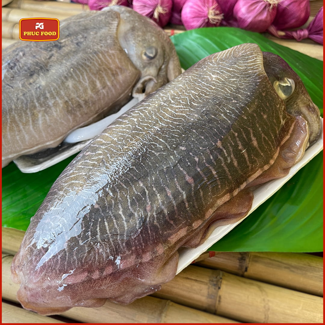 Mực Nang Mực Mai